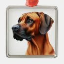 Suche nach rhodesian ridgeback ornamente Rassenstücke
