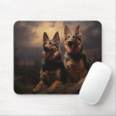 Recherche de bergers tapis souris Gsd