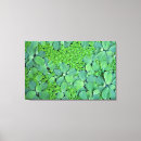 Suche nach thailand leinwandbilder Asiatinnen