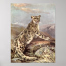 Suche nach großkatzen poster Retro