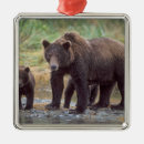Suche nach braunbär ornamente Grizzlybär