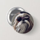 Recherche de chien domestique badges Mignon