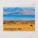 Recherche de buffle cartes postales Utah