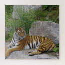 Suche nach tiger puzzle Natur