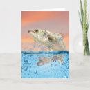 Suche nach angler fisch karten Wasser