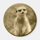 Recherche de suricate magnets Meerkat
