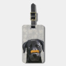 Suche nach nase accessoires Tiere