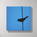 Suche nach draht leinwandbilder Vogel