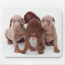 Suche nach unschuld mousepads Horizontal