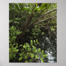 Suche nach growth poster Outdoors