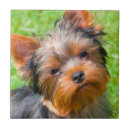 Suche nach ohren fliesen Gekümmert