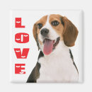 Suche nach beagle magnete Welpe