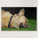 Suche nach schlafender puzzle Hund
