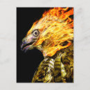 Recherche de phenix cartes postales Phoenix