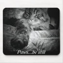Suche nach tatzen mousepads Haustier