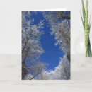 Suche nach winter natur karten Photography