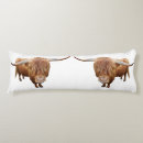 Recherche de le boeuf coussins Pour lui
