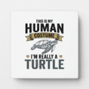 Recherche de tortue plaques Océan