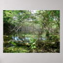 Suche nach walden teich poster Wasser