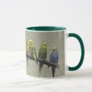 Recherche de perruche tasses Animaux de compagnie
