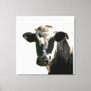 Suche nach cow leinwandbilder Rinder