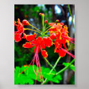 Recherche de étendue posters Fleur