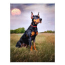 Suche nach hunde baby poster Animal