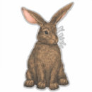 Recherche de fourrure animale autocollants Brun