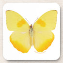 Recherche de photos papillons de dessous de verres Animaux