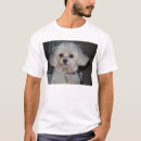 Recherche de domestiqué vêtements Mignon