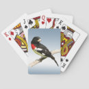 Suche nach singvogel spielkarten Vögel