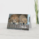 Suche nach trauriger hund karten Vermisst