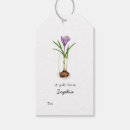 Suche nach crocus Aquarell