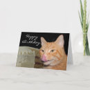 Recherche de funny cat cartes postales Tabby