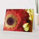 Suche nach orange gerbera karten Gelb