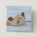 Recherche de ursus badges Alaska