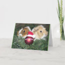Suche nach cavy karten Weihnachten