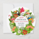 Recherche de oiseaux tropicaux invitations Pour tous