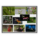Recherche de oiseau jardin posters Été