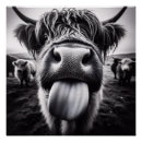Recherche de humour vache posters Mignon