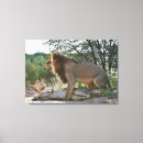 Suche nach südafrika leinwandbilder Sich hinlegen