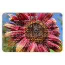 Recherche de tournesol rouge magnets Fleurs