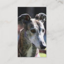 Recherche de levrier cartes visite Animaux familiers