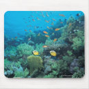 Suche nach schwimmern mousepads Natur