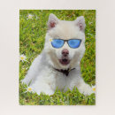 Suche nach husky puzzle Cool