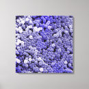 Recherche de bactérien posters Maladie