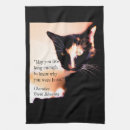 Recherche de messager de chat Photo du chat