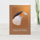 Suche nach caracara Vögel
