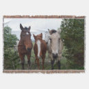 Recherche de jument maison deco Chevaux