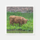 Recherche de cocktail photographie Animaux